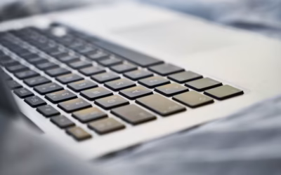 Koszty i ROI Wdrożenia PPWR w sklepach internetowych z dużą liczbą SKU